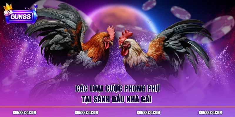 Các loại cược phong phú tại sảnh đấu nhà cái 
